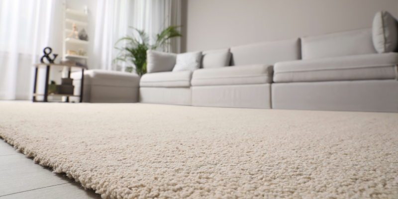 How to Maintain Your Carpets So They’ll Last Longer